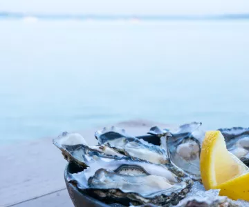 bar à huîtres