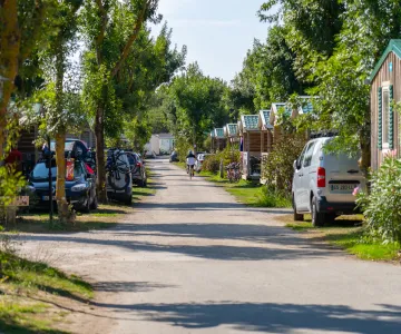Camping, île d'Oléron