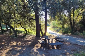 Table de pique-nique, Le Grand-Village-Plage