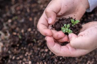 Atelier 4-6 ans : Petit jardinier