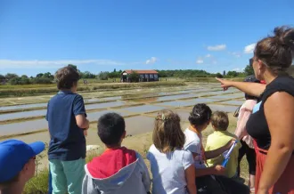 Atelier 7-12 ans "Le trésor du saunier" au Port des Salines_Le Grand-Village-Plage
