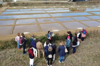 Visite commentée du marais salant du Port des Salines