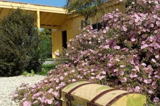 Chasse au trésor " A la sau" au Port des Salines_Le Grand-Village-Plage
