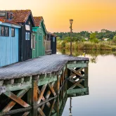 Visites et sorties natures