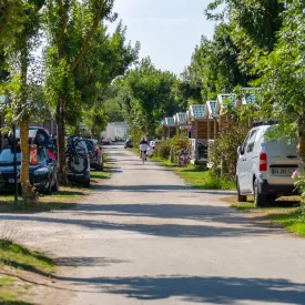 Camping, île d'Oléron