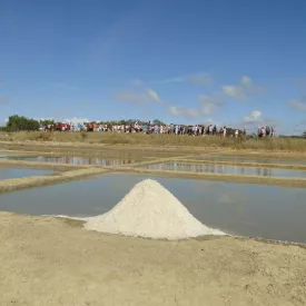 Salines en fête