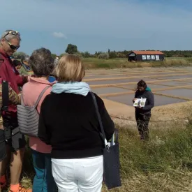 Fête de la nature au Port des Salines