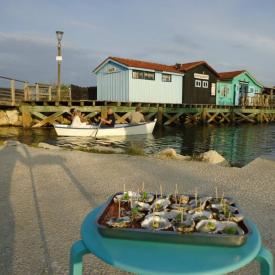 Apéro barque au Port des Salines, Oléron