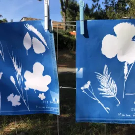 Atelier 7-12 ans : Magie bleue (cyanotype)_Le Grand-Village-Plage