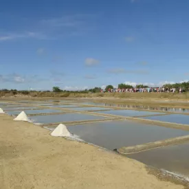 Port des Salines, Oléron, visite du marais salant