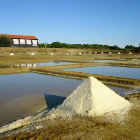 Fête de la science au Port des Salines