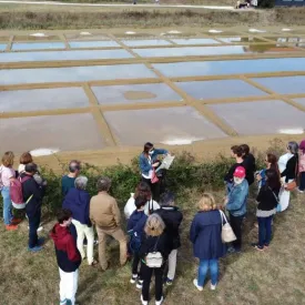 Visite commentée du marais salant du Port des Salines