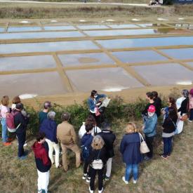 Visite commentée du marais salant du Port des Salines