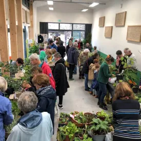 Bourse aux plantes_Le Grand-Village-Plage