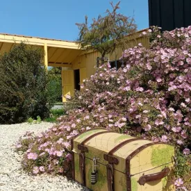 Chasse au trésor " A la sau" au Port des Salines_Le Grand-Village-Plage