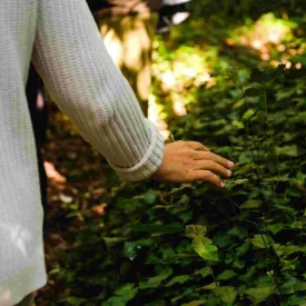 Rencontrer la forêt 
