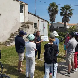 Balade à vélo et dégustation – « Villages traditionnels »_Le Grand-Village-Plage