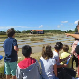 Atelier 7-12 ans Enquête au Port des Salines_Le Grand-Village-Plage