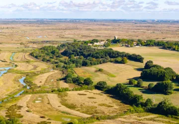 Marais de Brouage_Marennes-Hiers-Brouage