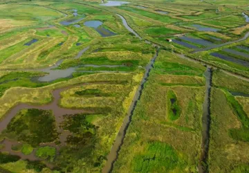 Marais de Brouage_Marennes-Hiers-Brouage
