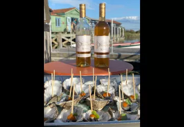 Salines en fête_Le Grand-Village-Plage