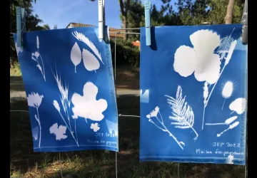 Atelier 7-12 ans : Magie bleue (cyanotype)_Le Grand-Village-Plage