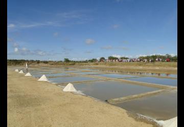 Port des Salines, Oléron, visite du marais salant