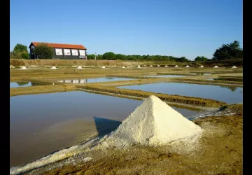 Fête de la science au Port des Salines