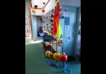 Bosi