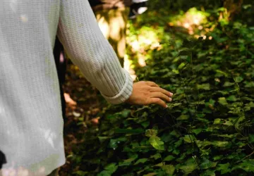 Rencontrer la forêt 