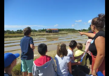 Atelier 7-12 ans Enquête au Port des Salines_Le Grand-Village-Plage
